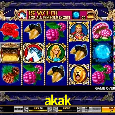 Descubra a Essência do akak: Nossa História e Compromissos